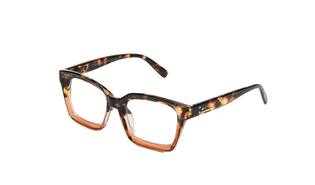 Leesbril Rio demi bruin display