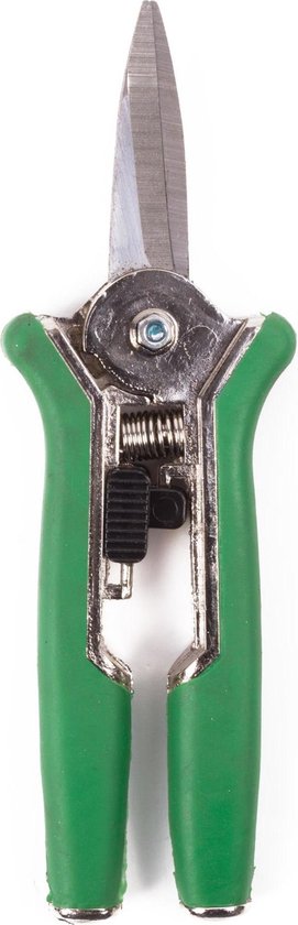 Snoeischaar bloemen recht chi