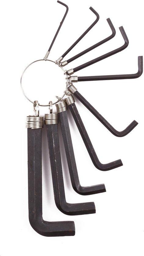 Inbus sleutelset 10 dlg ring