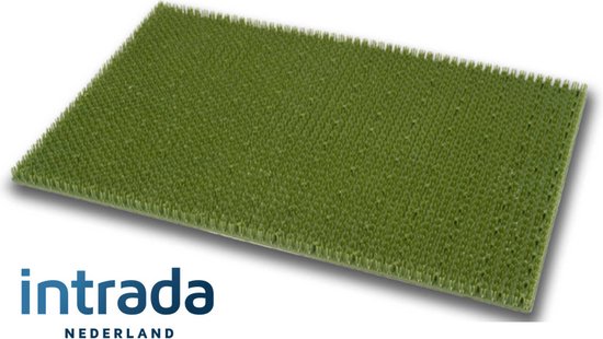 Grasmat 40 x 60 cm groen