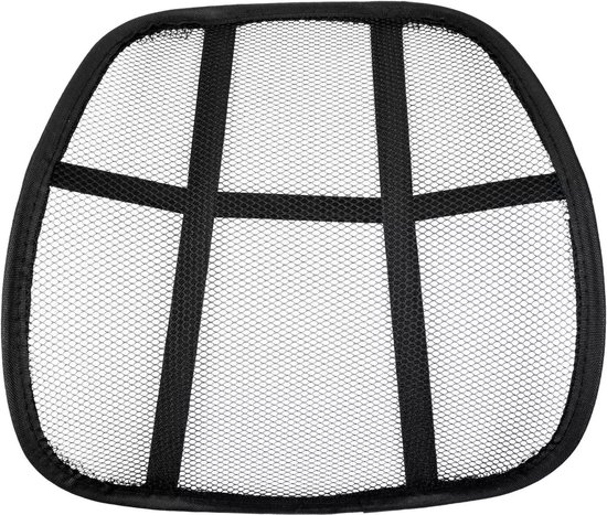 Lendensteun 37 x 42 cm