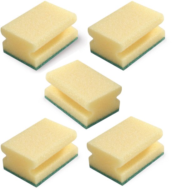 Schuurspons met grip 10 dlg