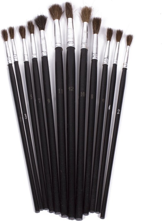 Penseelset 12 dlg waaier rond